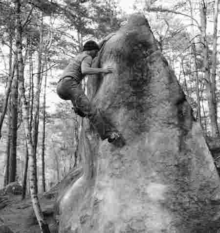 Fontainebleau