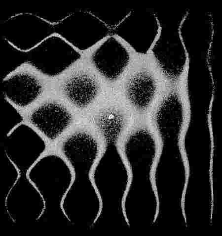 Yoga & Electronica