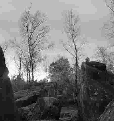 Fontainebleau