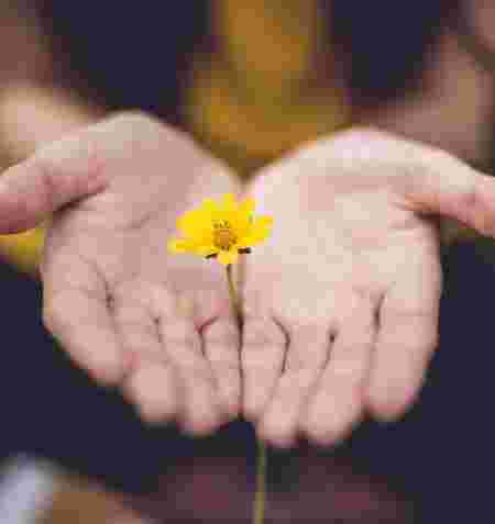Yin Yoga & Gruppenhypnose