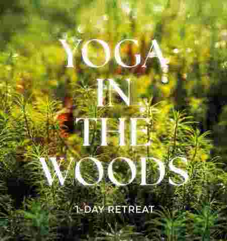Yoga in the Woods