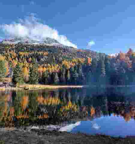 Golden Autumn Retreat    