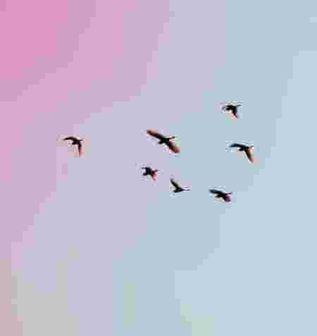 Yin Yoga, Qi Gong & TCM-Impulse