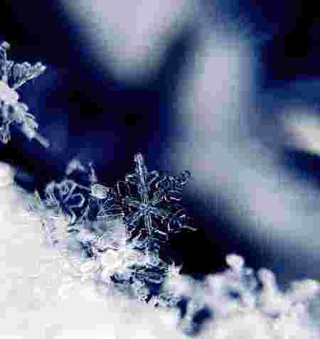 Winterruhe – Yin Yoga & Myofascial Release