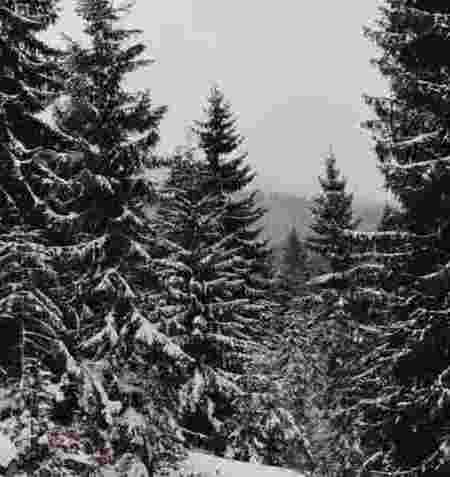 Slow & Silent Retreat